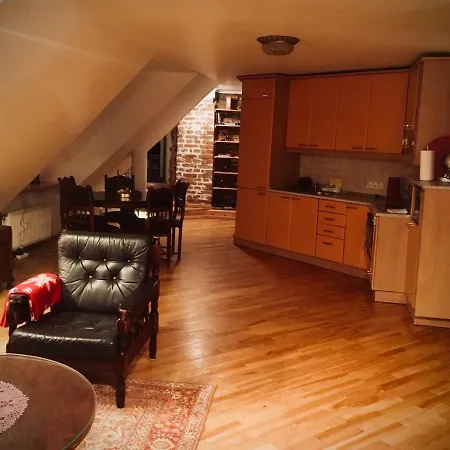 Medieval Mansard Appartement